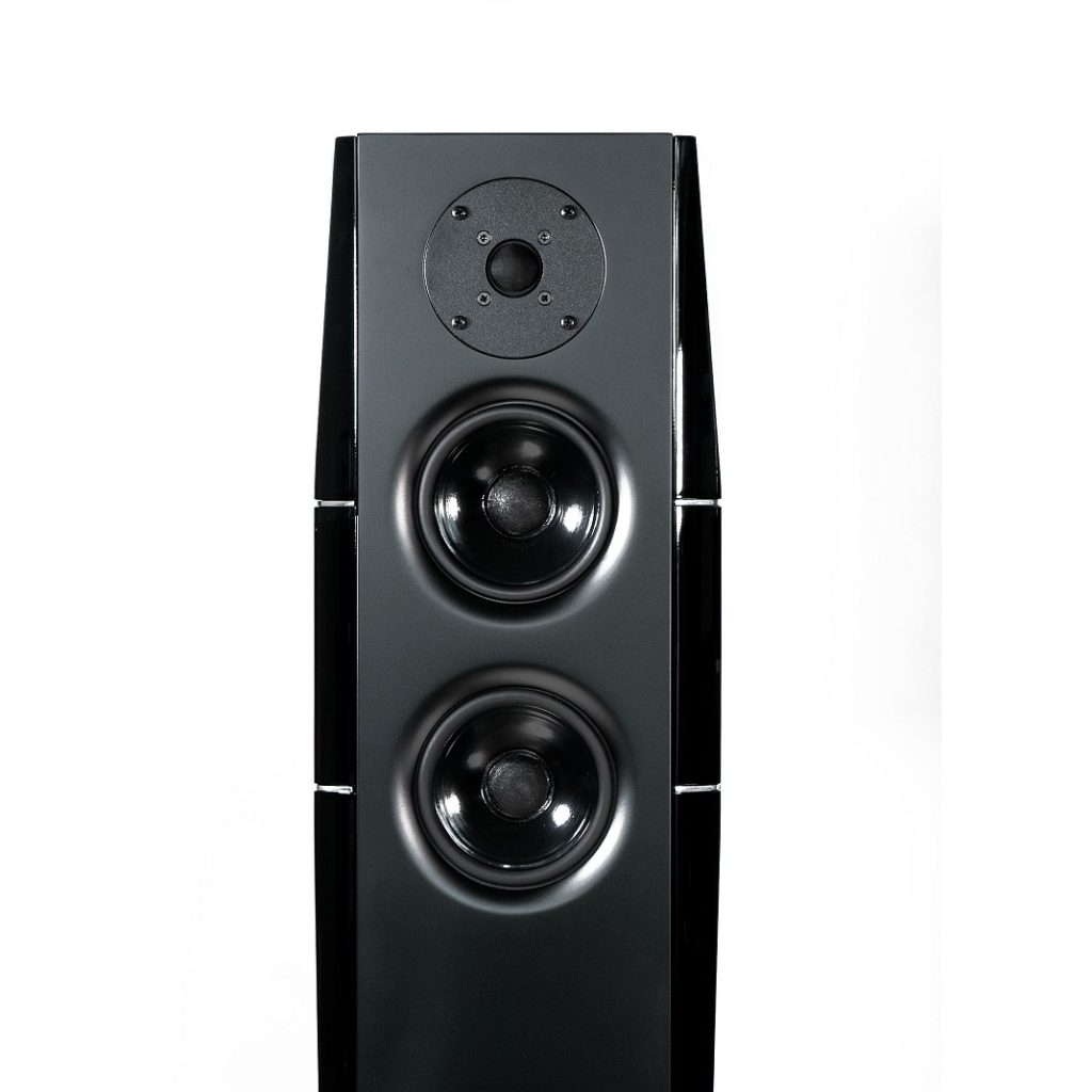 Gold Note A Evo Ii Floorstanding Speakers Pair Raw Music Store