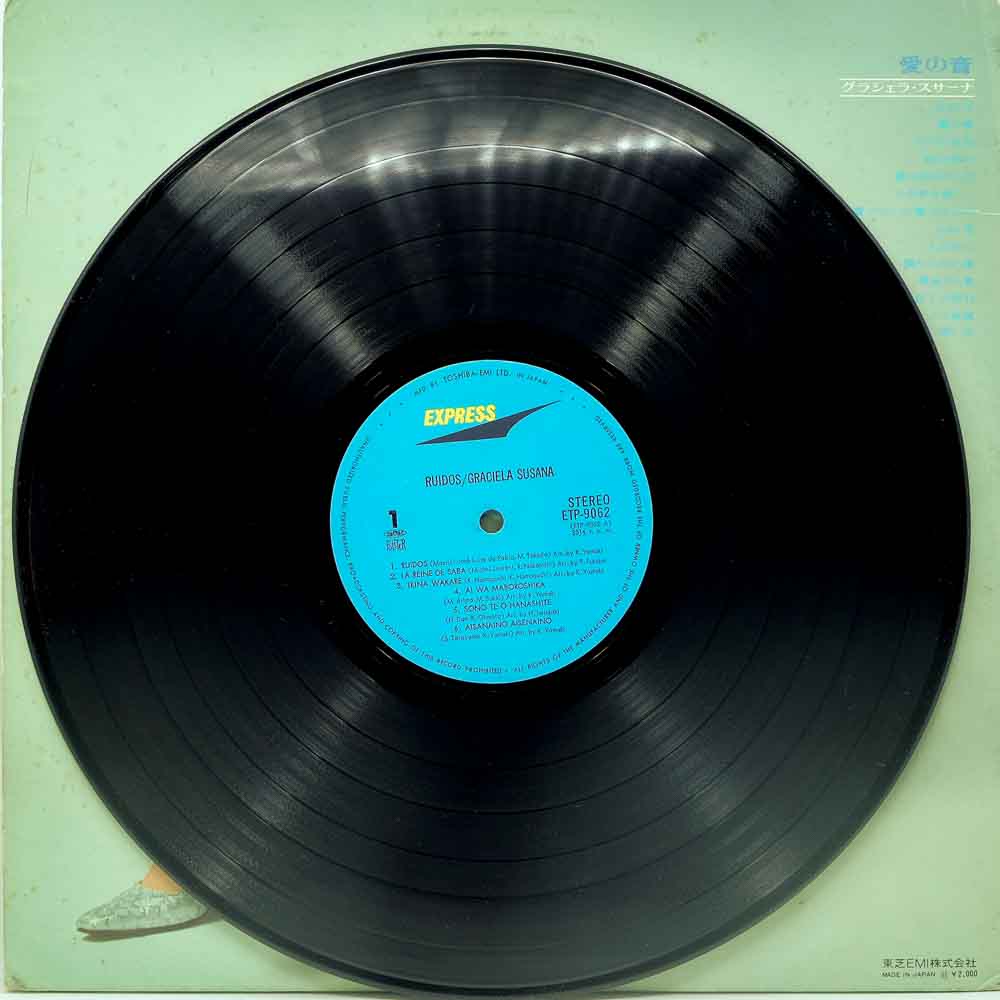 GRACIELA SUSANA HMV visual data 5