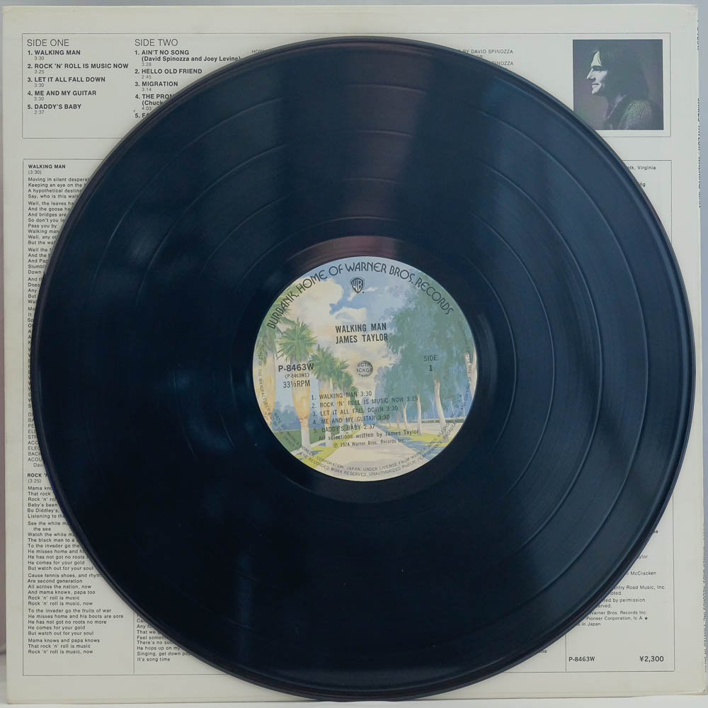 James Taylor Walking Man Raw Music Store