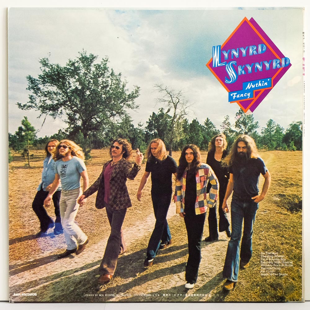 Lynyrd Skynyrd Nuthin' Fancy Raw Music Store