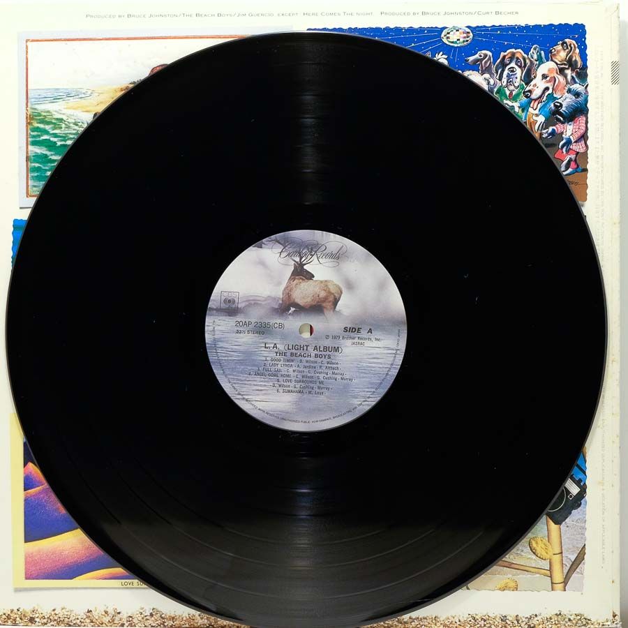 The Beach Boys L.A. (Light Album) Raw Music Store