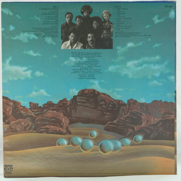The Soul Searchers - Salt Of The Earth - Raw Music Store The Soul Searchers - Salt Of The Earth - Raw Music Store