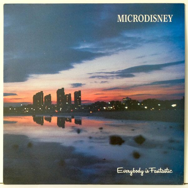 Microdisney - Everybody Is Fantastic - Raw Music Store