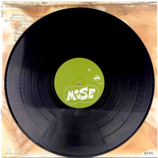 Modest Mouse - Sad Sappy Sucker - Raw Music Store